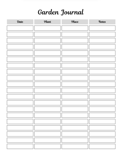 300+ Digital Planner  PLR MRR Collection