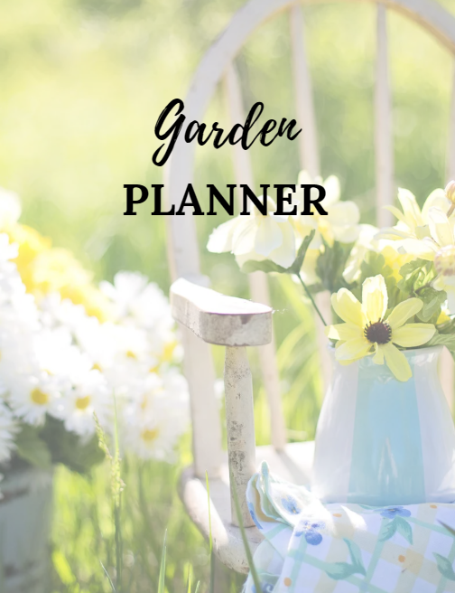 300+ Digital Planner  PLR MRR Collection